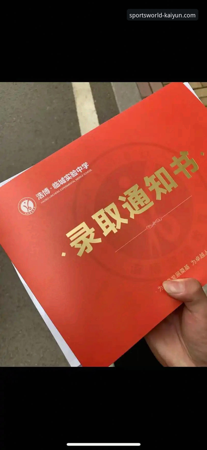 2024年深度测评：开云体育靠谱吗？资深用户分享真实体验与最新动态