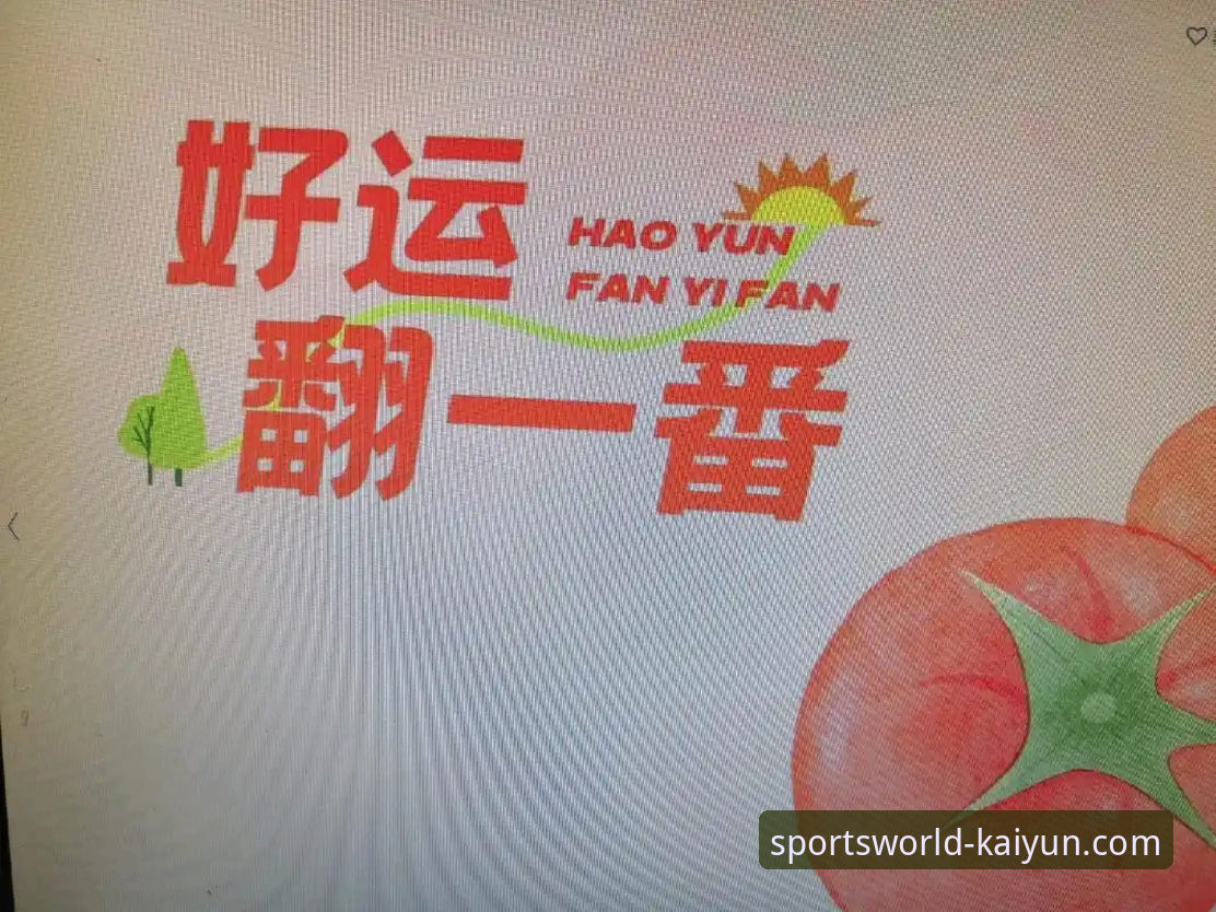 揭秘开yun体育平台优惠背后的真相：哪个真正适合你？